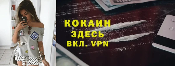 индика Алексин