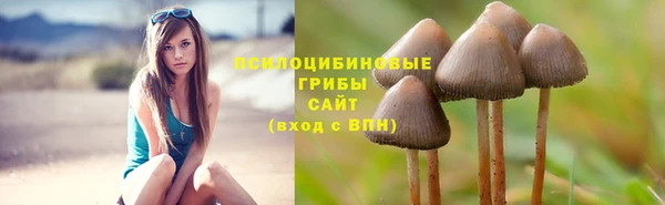 индика Алексин