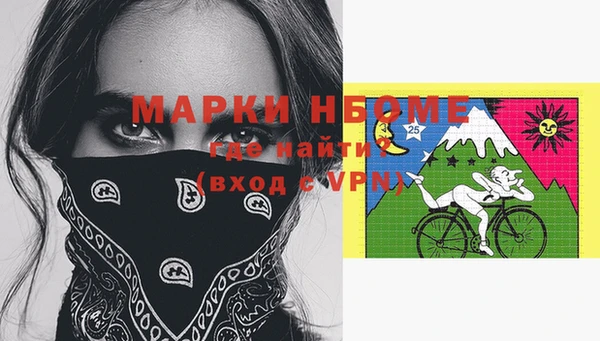 индика Алексин