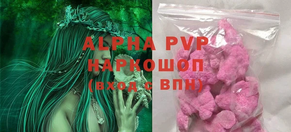 индика Алексин