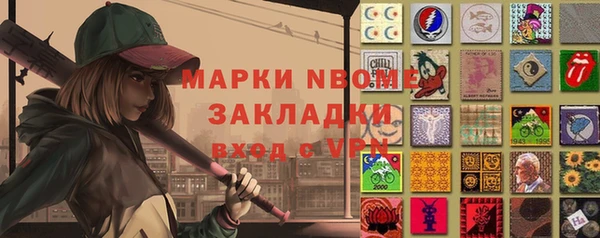индика Алексин