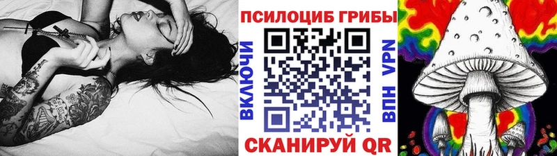 Галлюциногенные грибы Cubensis  Касимов 