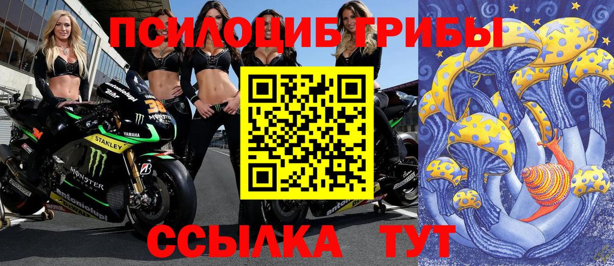 Галлюциногенные грибы GOLDEN TEACHER  Вход с VPN  Касимов  Галлюциногенные грибы Psilocybine cubensis 